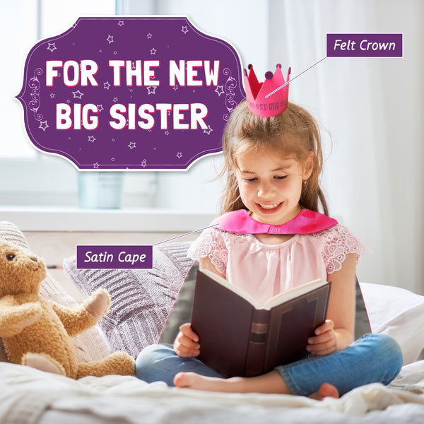 Big Sister Gift Set For Toddler Girls - 6-Pieces Princess Set for Older Sibling - Athena Futures Inc.